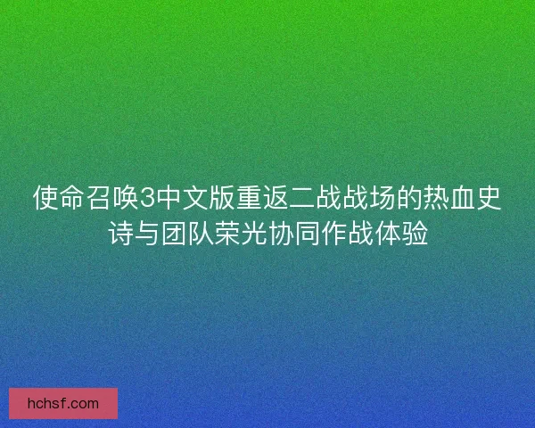 使命召唤3中文版重返二战战场的热血史诗与团队荣光协同作战体验