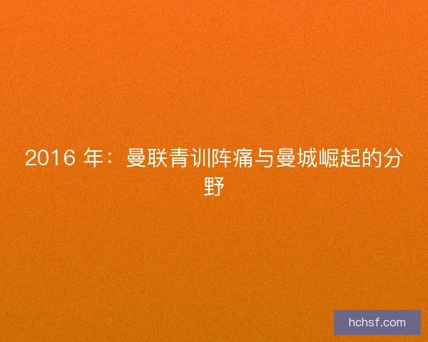 2016 年：曼联青训阵痛与曼城崛起的分野